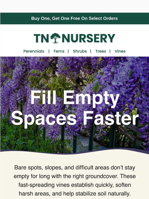 Turn Empty Areas Into Lush Growth Fast