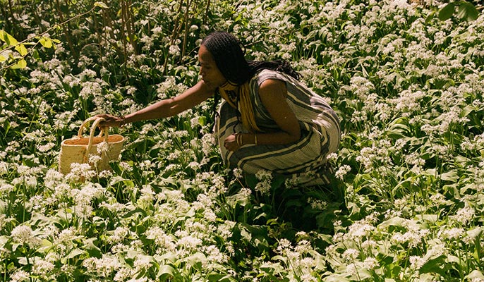 A Woodland Lunch with Eat Ethio
