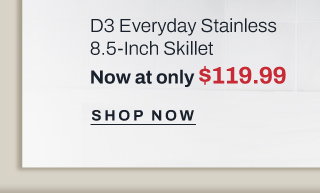 d3 everyday 8.5 inch skillet - shop now