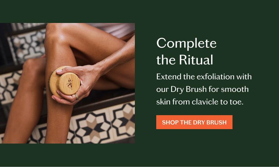 Shop The Dry Brush