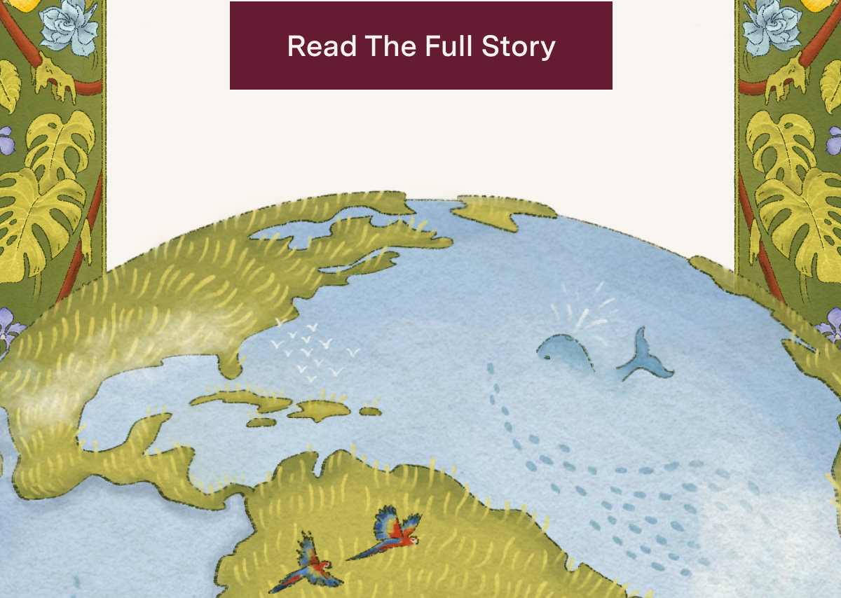 Read the Full Story