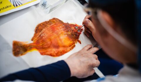 From catch to canvas, fish prints have become fine art