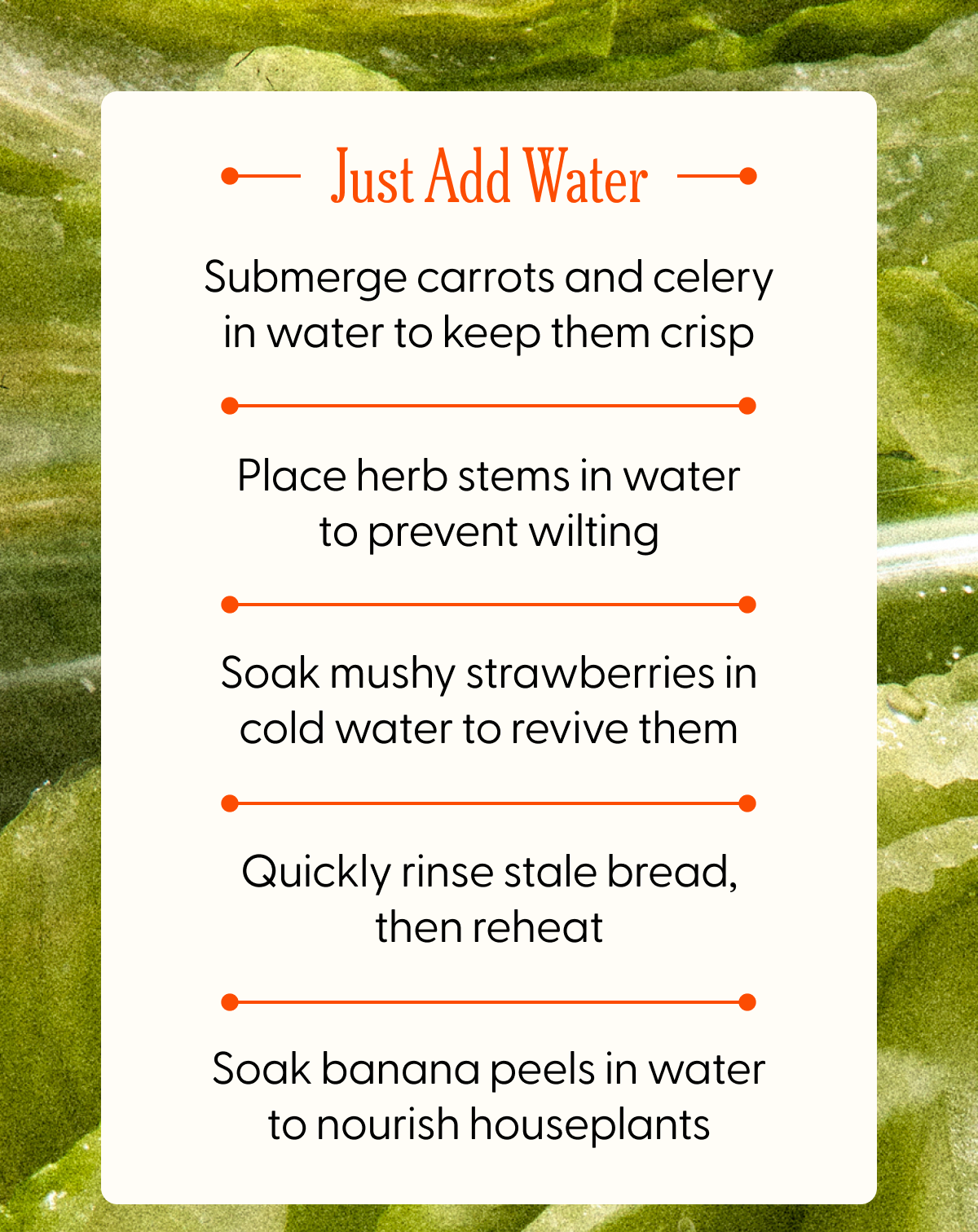 Submerge carrots and celery to keep them crisp, place herb stems in water to prevent wilting, soak banana peels in water to nourish houseplans 