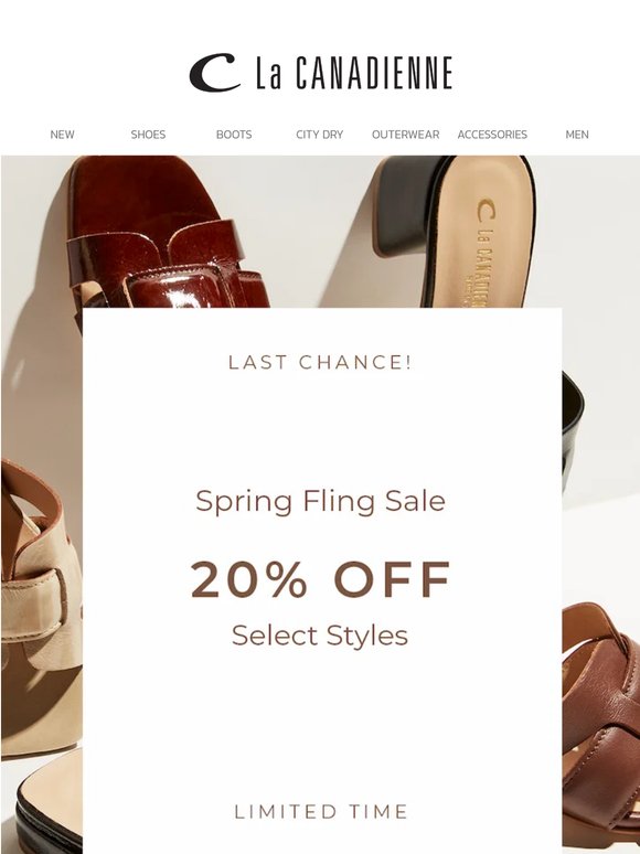 Last Chance! Up to 20% OFF