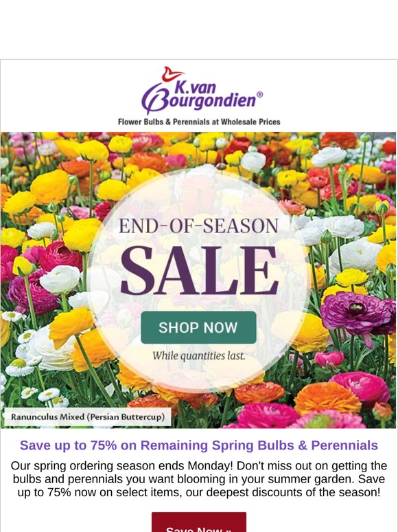Hurry – Spring Clearance Items up to 75% off