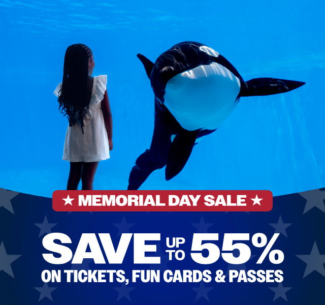 Plan Your Visit