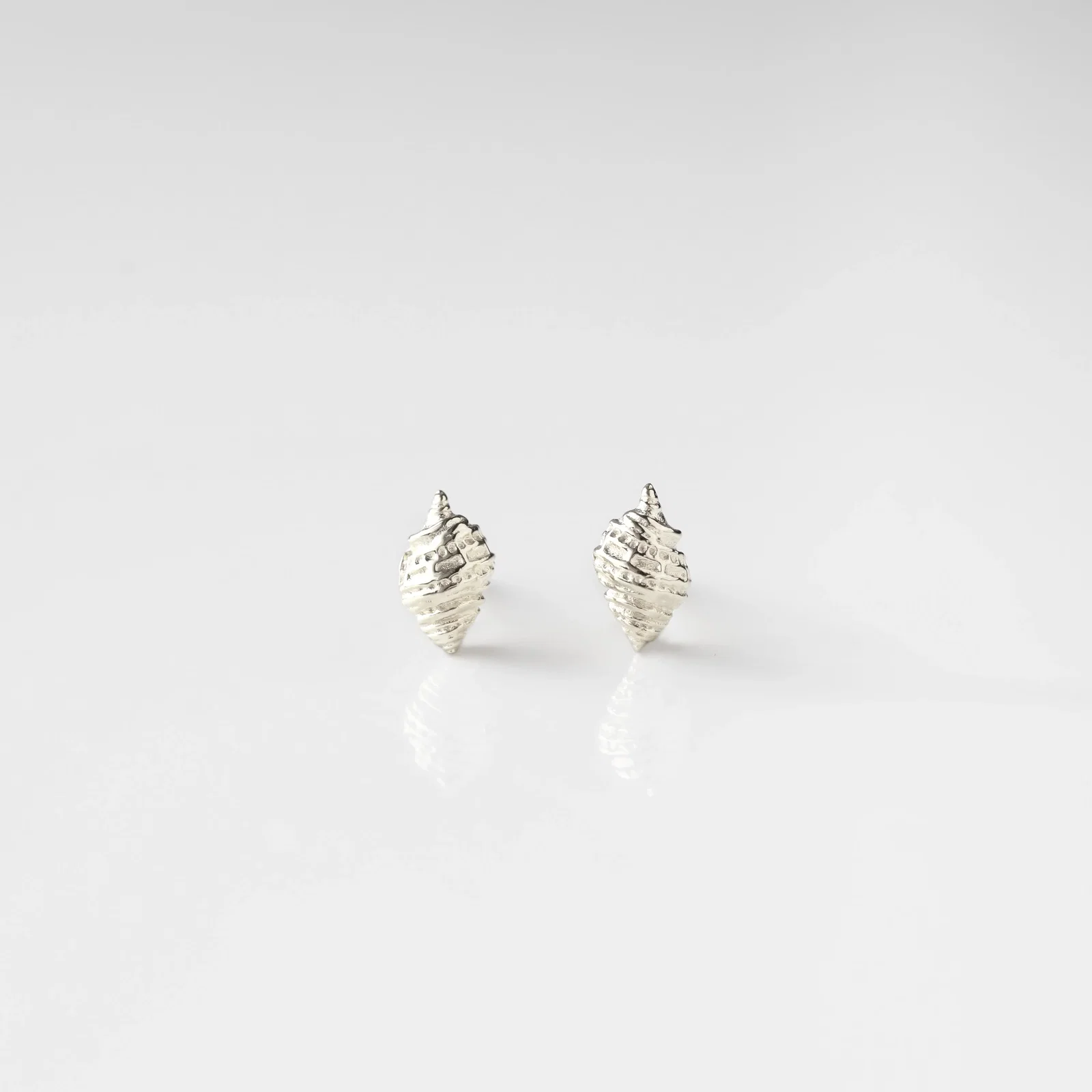Image of Conch Shell Studs Earrings
