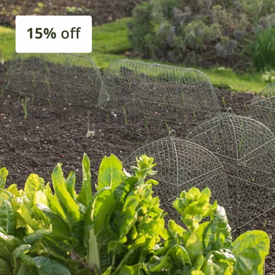 Cloches 