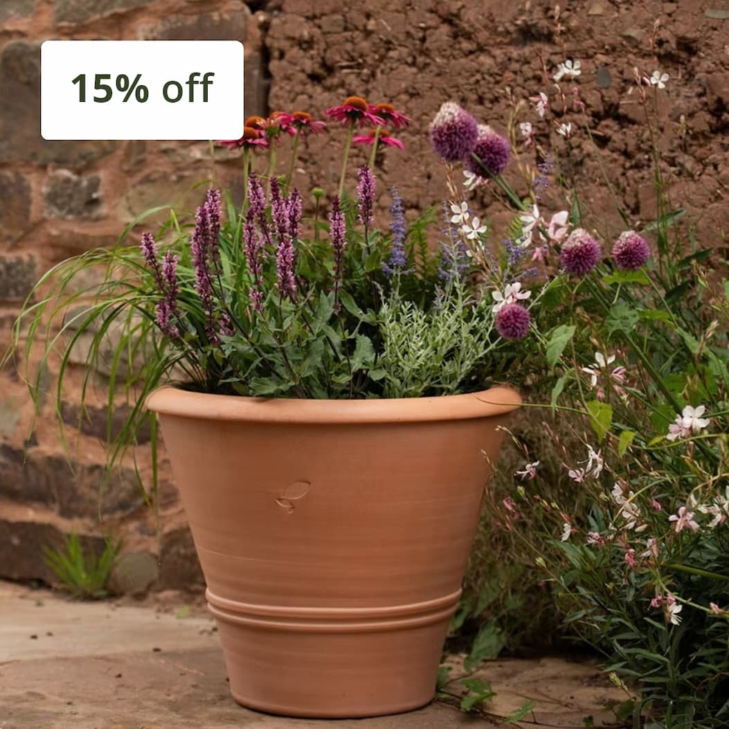 Pots & containers 