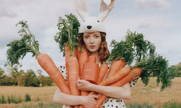 Carrot Blossom
