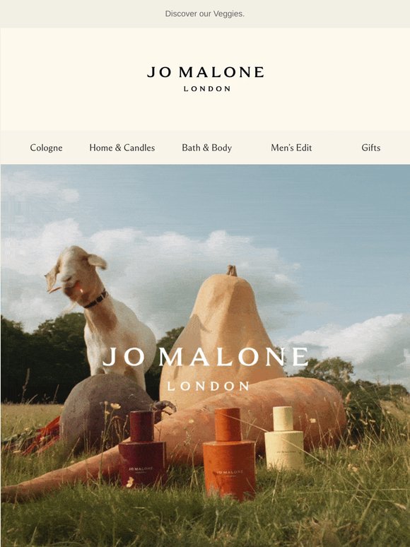 Introducing our in-season scents