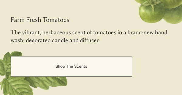 Shop The Scent