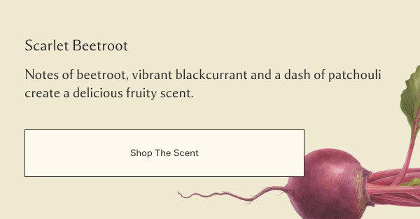Shop The Scent
