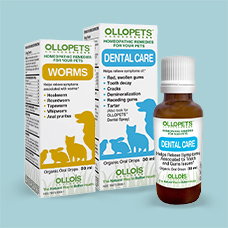 10% off* all Ollopets products. Code: OLLOP10.