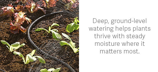 Deep, ground-level watering helps plants thrive with steady moisture where it matters most.