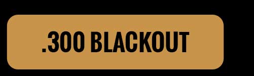 300 BLACKOUT BUTTON