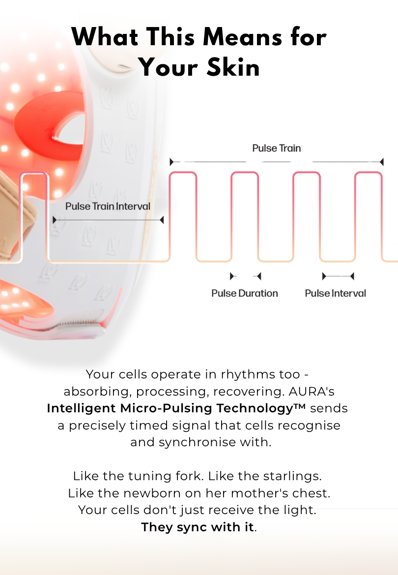 What is entrainment? Secure your AURA and save 15% with code AURA.