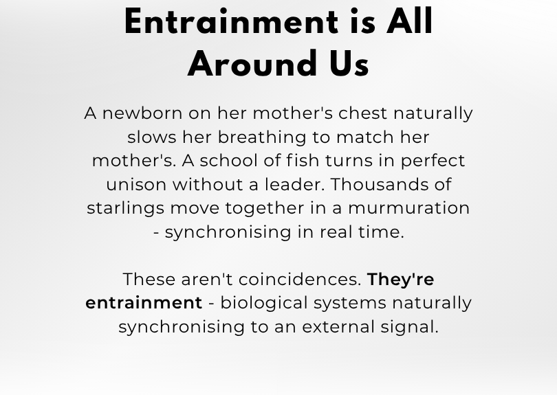 What is entrainment? Secure your AURA and save 15% with code AURA.