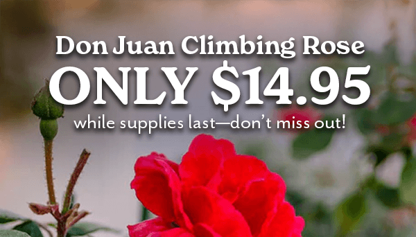 Don Juan $14.95 while supplies last