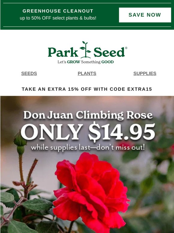 Meet Don Juan: A Classic Climber Under $15