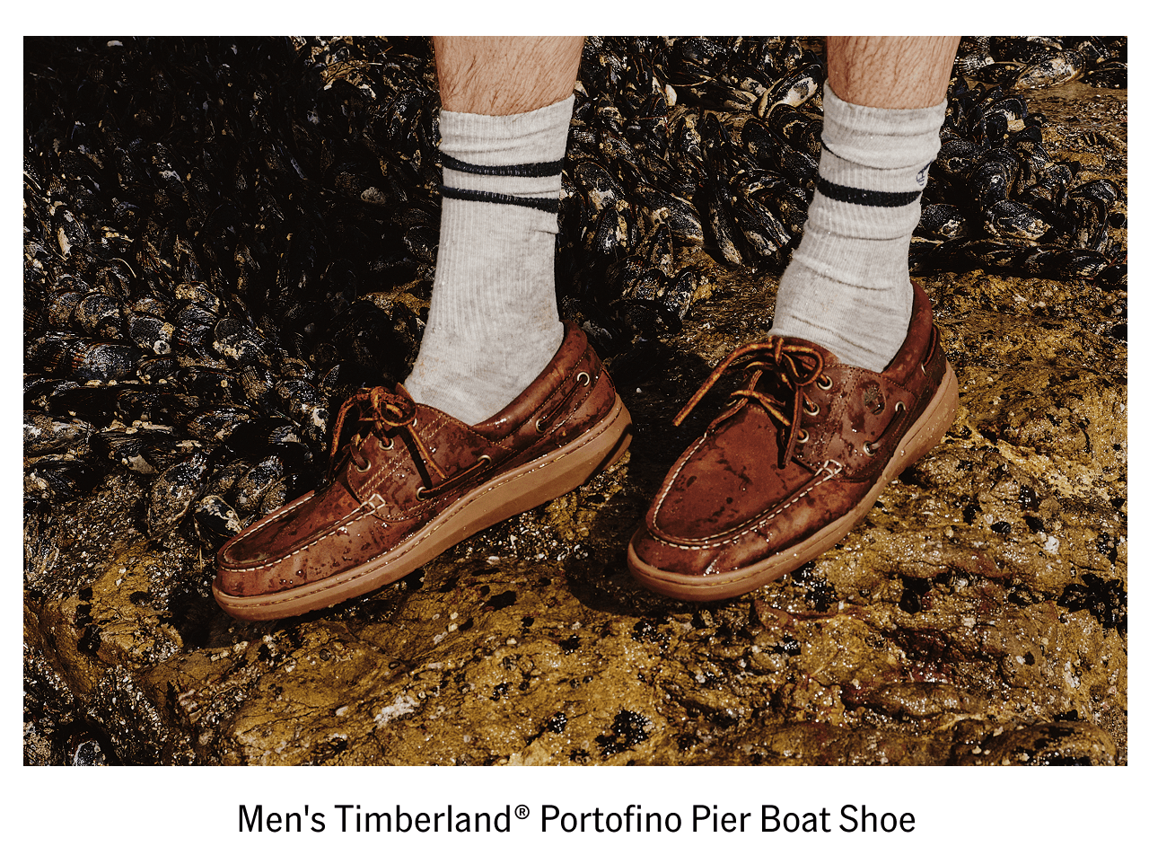 Men's Timberland Portofino Pier Boat Shoe
