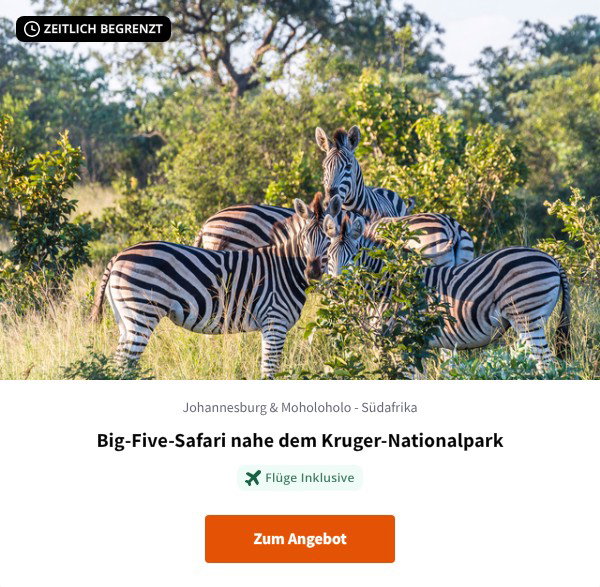 Big-Five-Safari nahe dem Kruger-Nationalpark