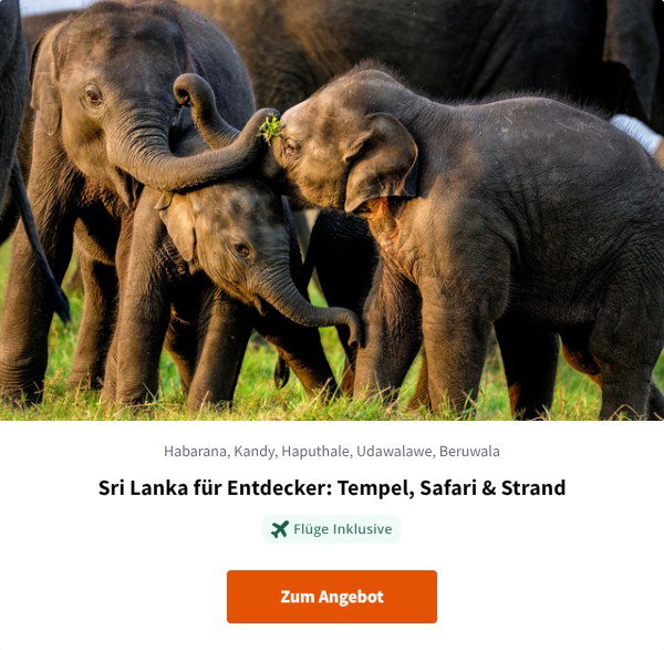 Sri Lanka für Entdecker: Tempel, Safari & Strand