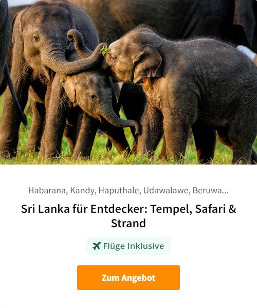 Sri Lanka für Entdecker: Tempel, Safari &amp; Strand