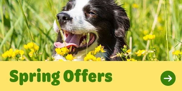 Dog offers