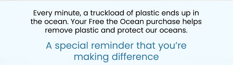 Help us remove a truckload of plastic from the ocean