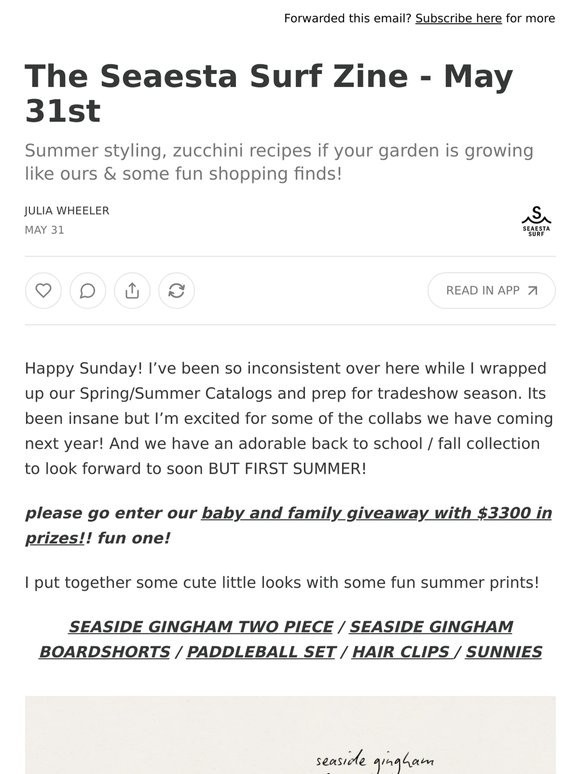 The Seaesta Surf Zine - May 31st