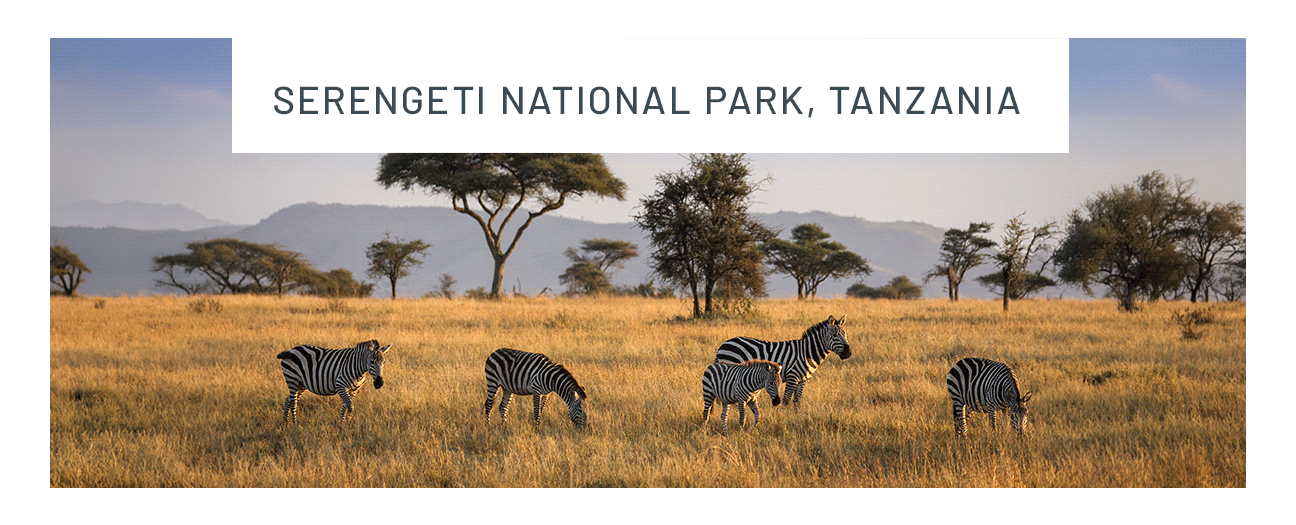 Serengeti National Park, Tanzania