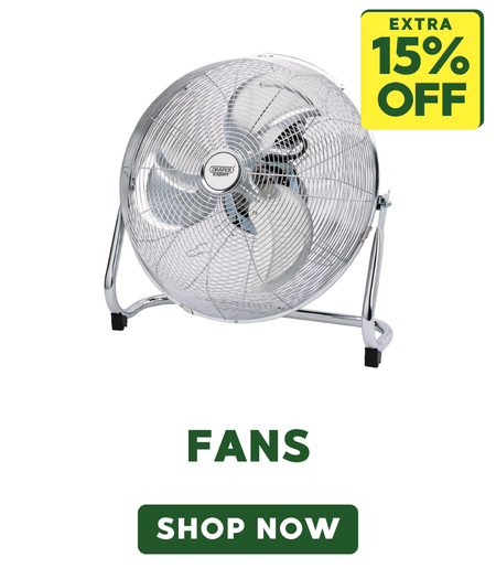 Fans