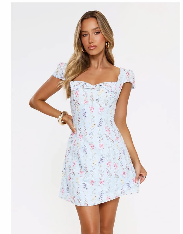 Too Cute To Care Embroidered Mini Dress Blue