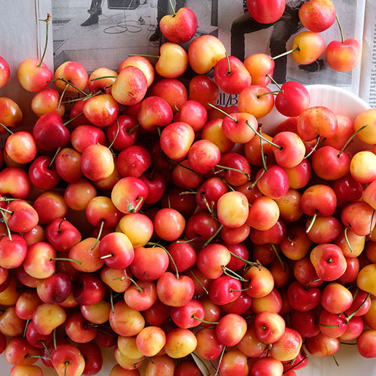 Fresh Rainier Cherries