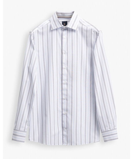 Ace cutaway collar strp