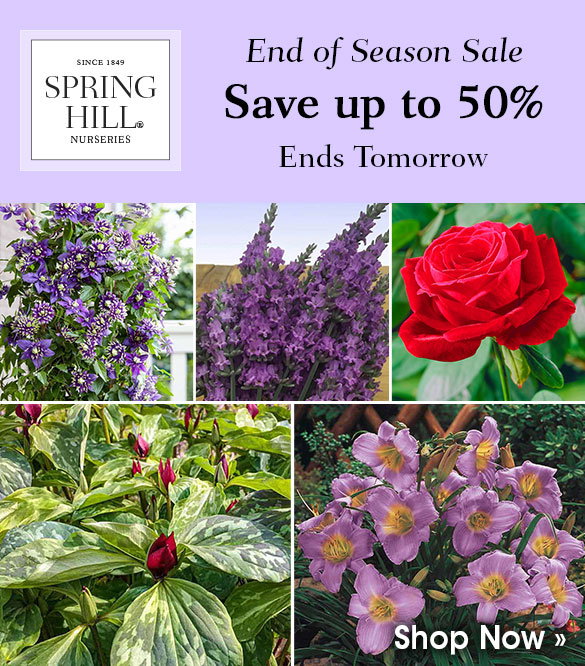 End of Season Sale | Save up to 50%