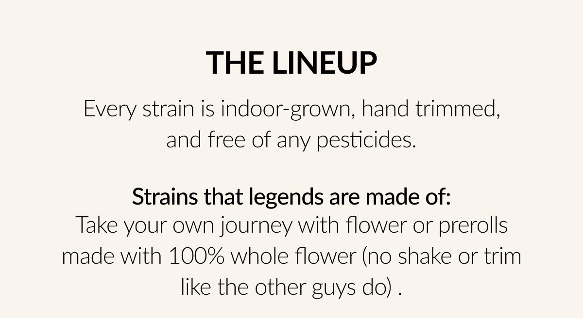 The Lineup