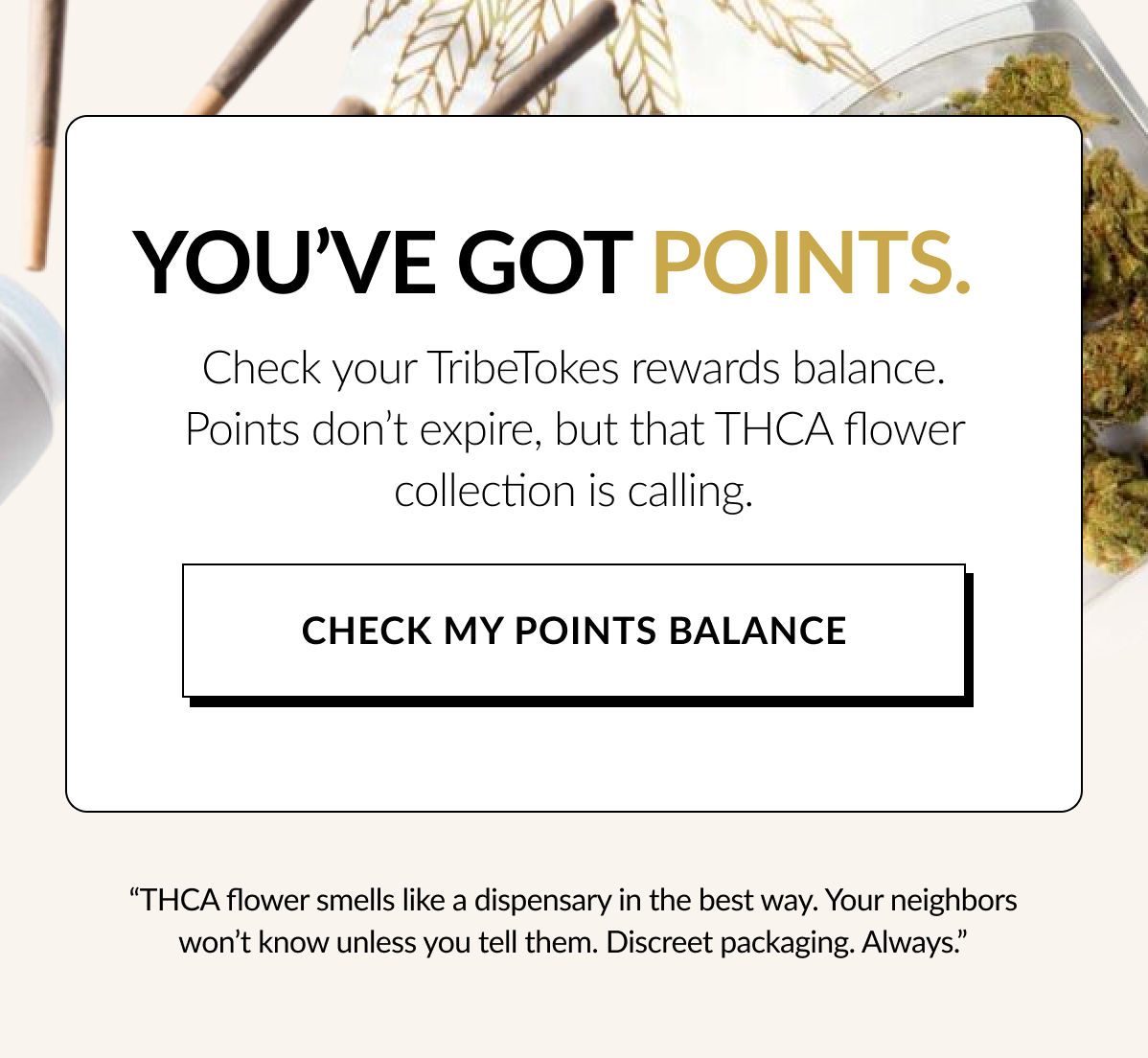 Check My Points Balance