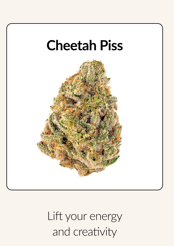 Cheetah Piss