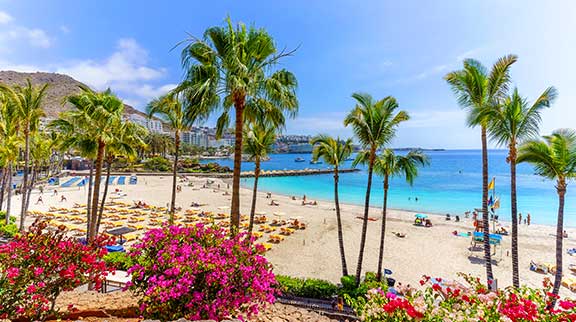 Palmengesäumter Badestrand auf den Kanaren