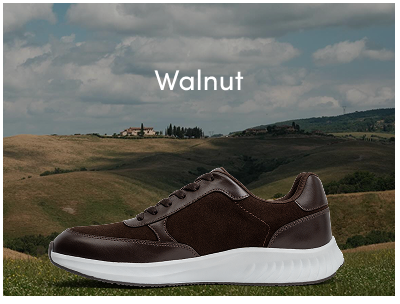 The Axis Walnut