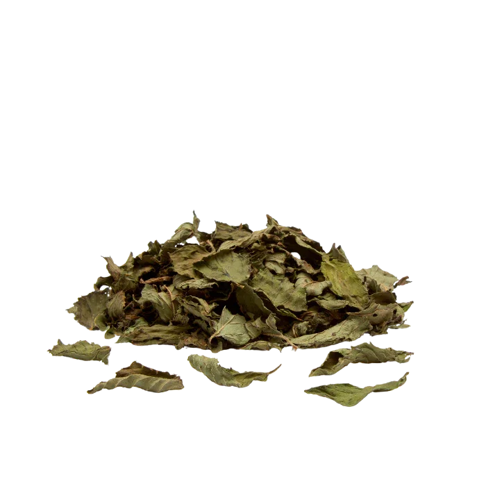 Image of Peppermint