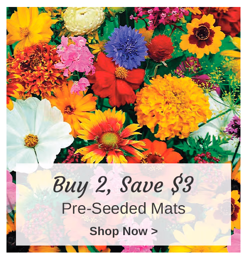 Pre-Seeded Mats