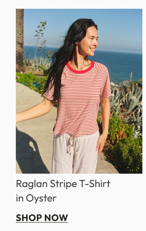 Raglan Stripe T-Shirt in Oyster