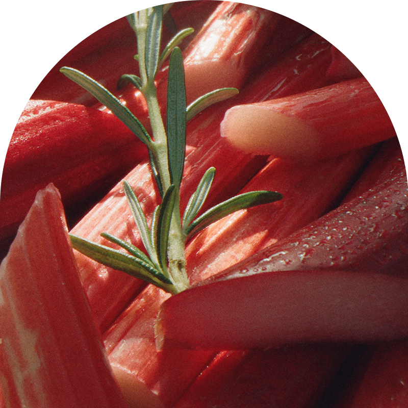Image of rhubarb 