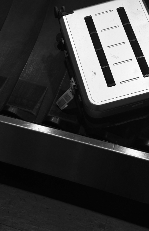 Alu in transit