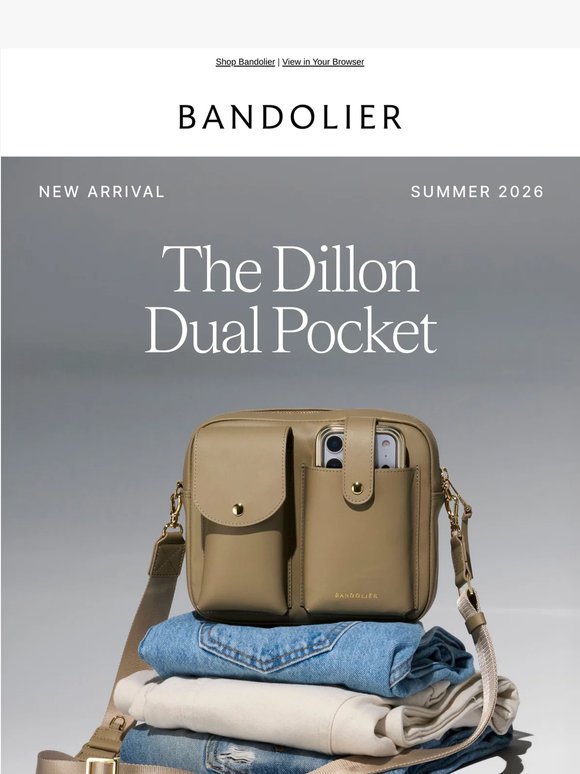 Meet the Dillon Dual Pocket Bag