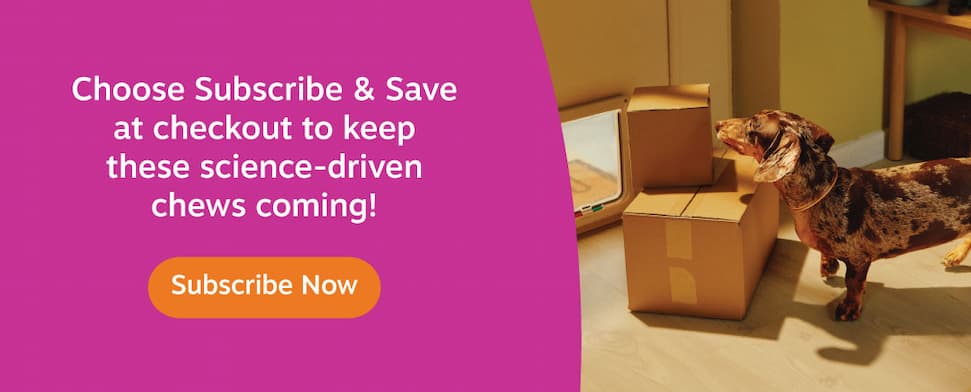Choose Subscribe & Save at checkout to keep these science-driven chews coming! Subscribe Now