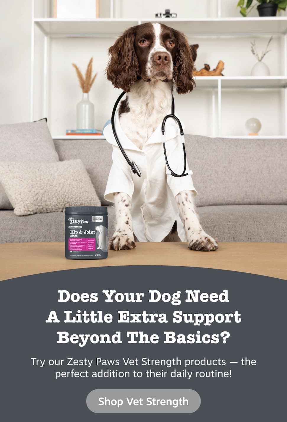 Does your dog need a little extra support beyond the basics? Try Vet Strength